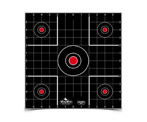 B/C DIRTY BIRD SIGHT IN TGT 12-12"